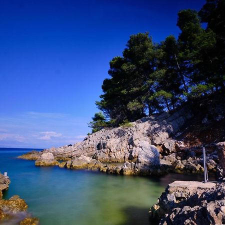 Vila Vita Donje Selo na Solti Bagian luar foto