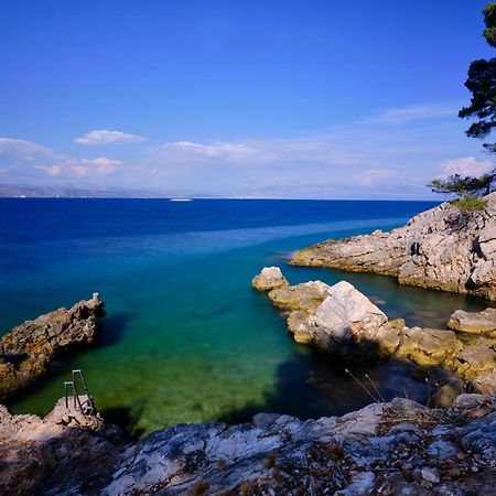 Vila Vita Donje Selo na Solti Bagian luar foto