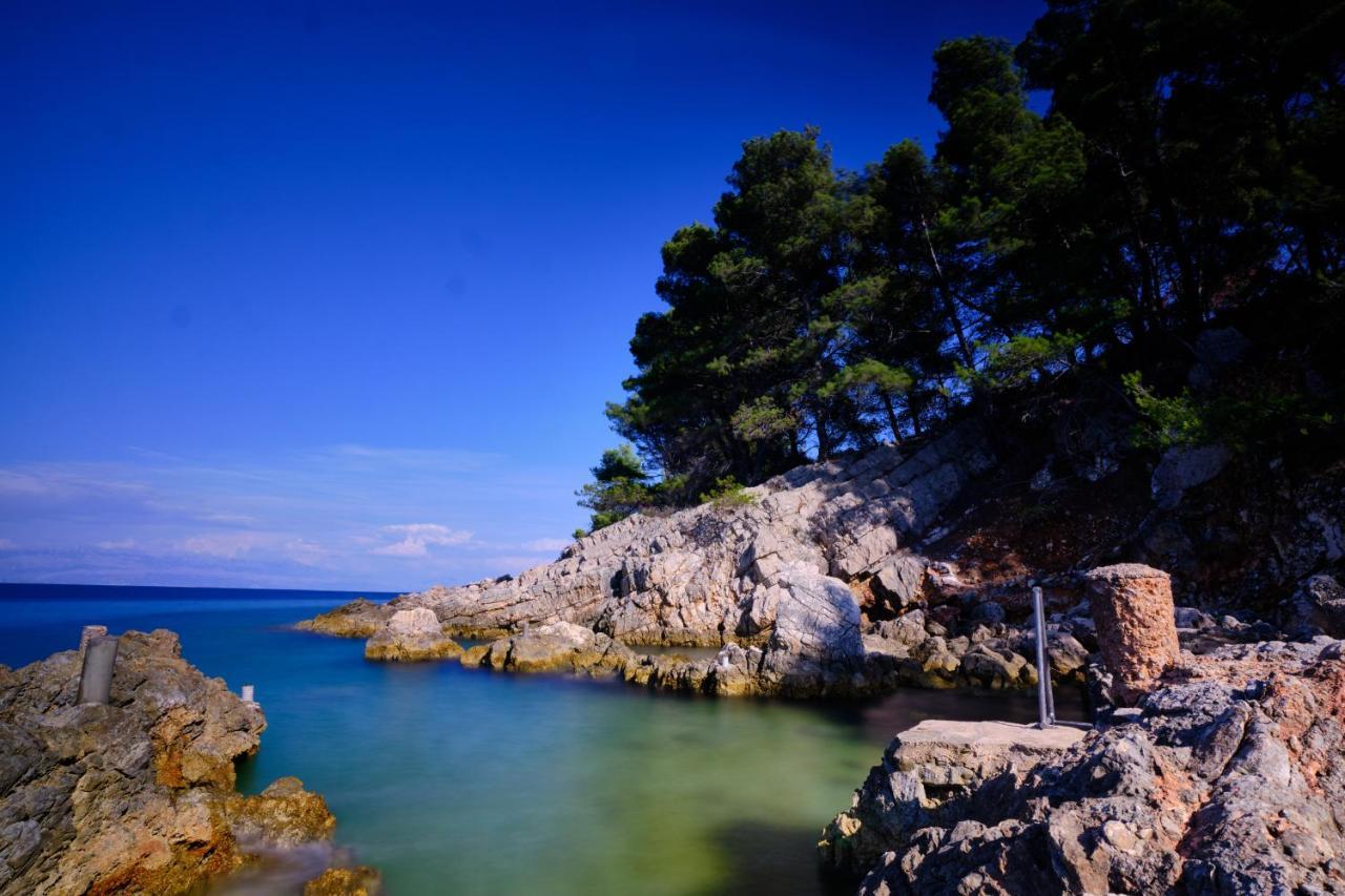 Vila Vita Donje Selo na Solti Bagian luar foto