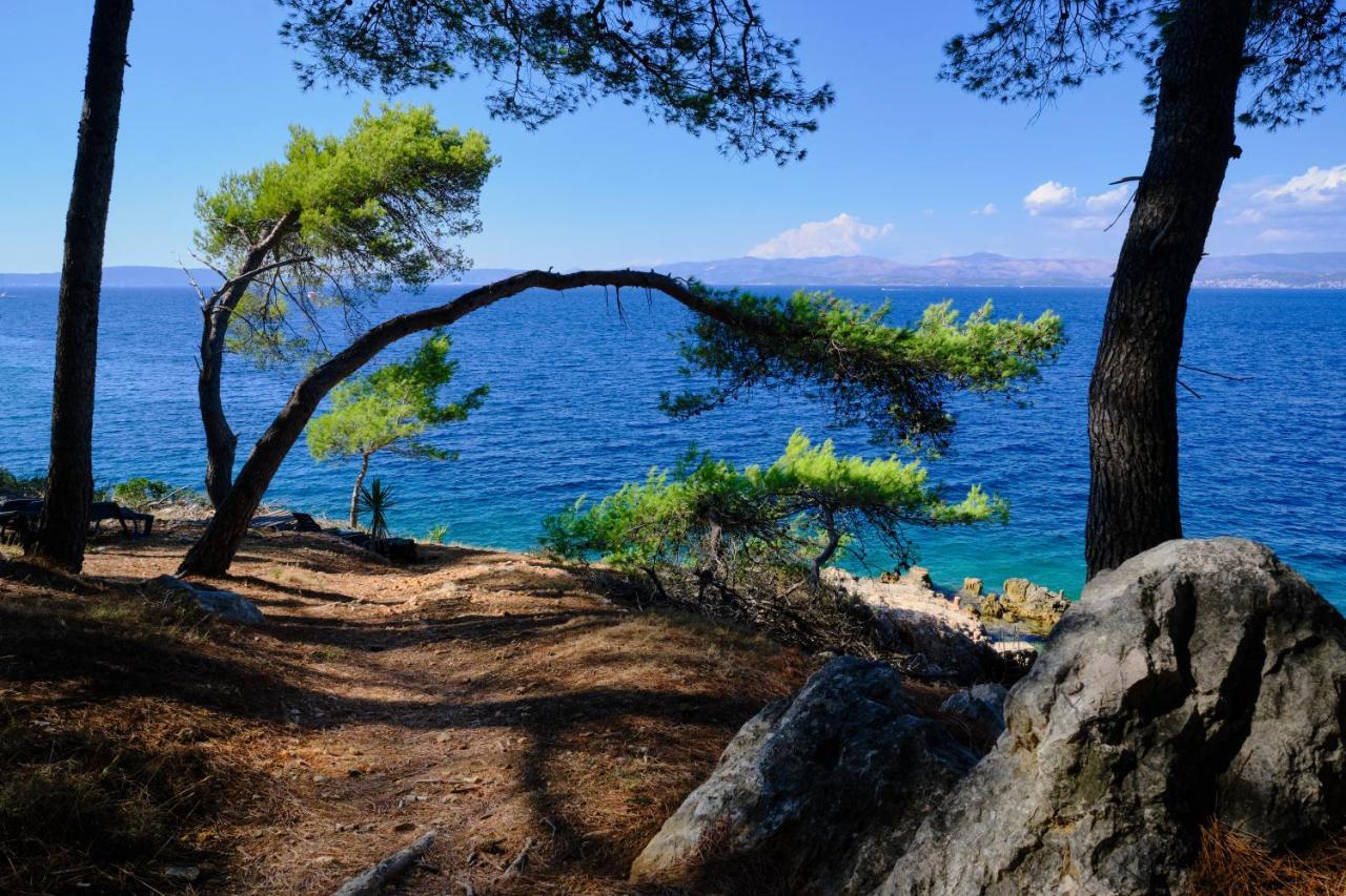 Vila Vita Donje Selo na Solti Bagian luar foto