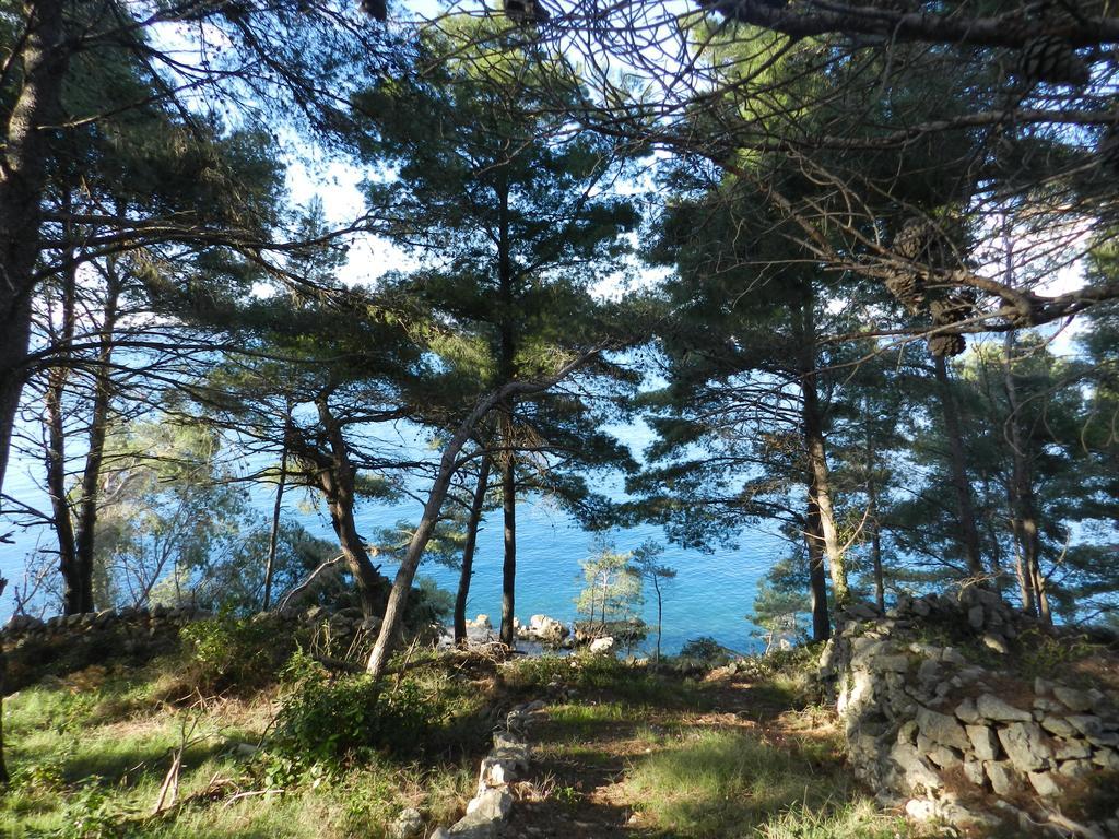 Vila Vita Donje Selo na Solti Bagian luar foto