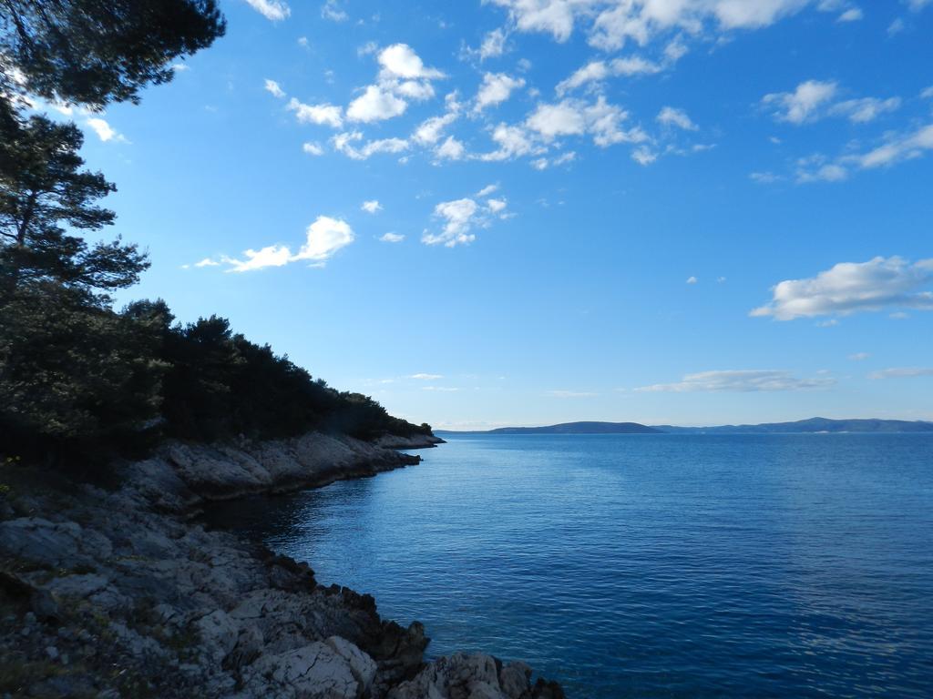 Vila Vita Donje Selo na Solti Bagian luar foto