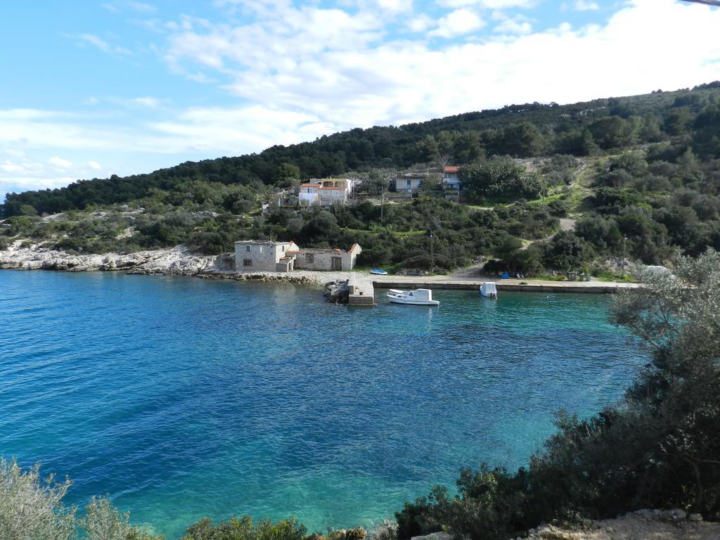 Vila Vita Donje Selo na Solti Bagian luar foto
