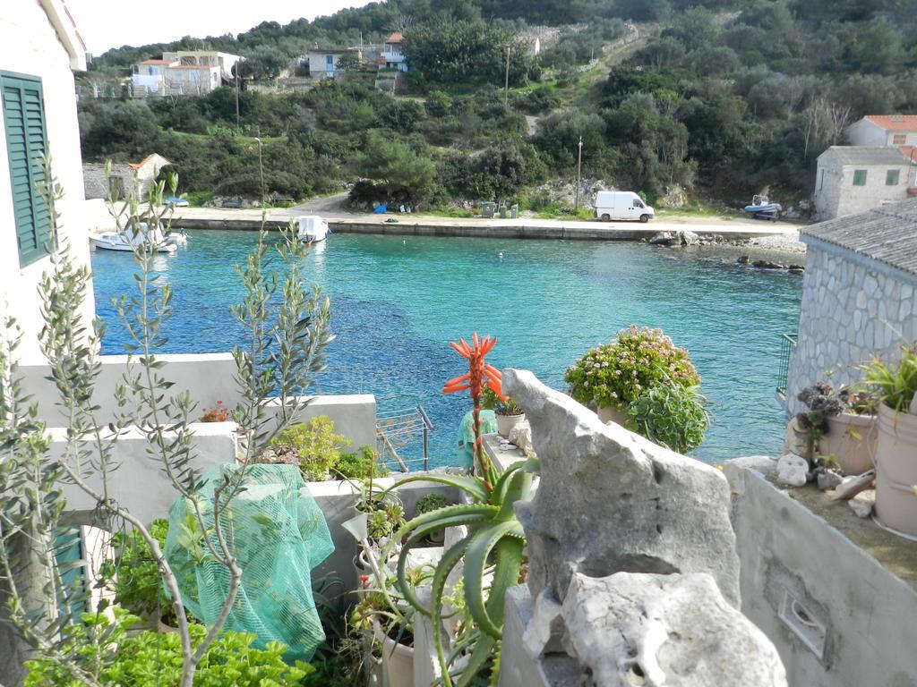Vila Vita Donje Selo na Solti Bagian luar foto