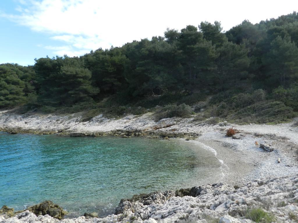 Vila Vita Donje Selo na Solti Bagian luar foto