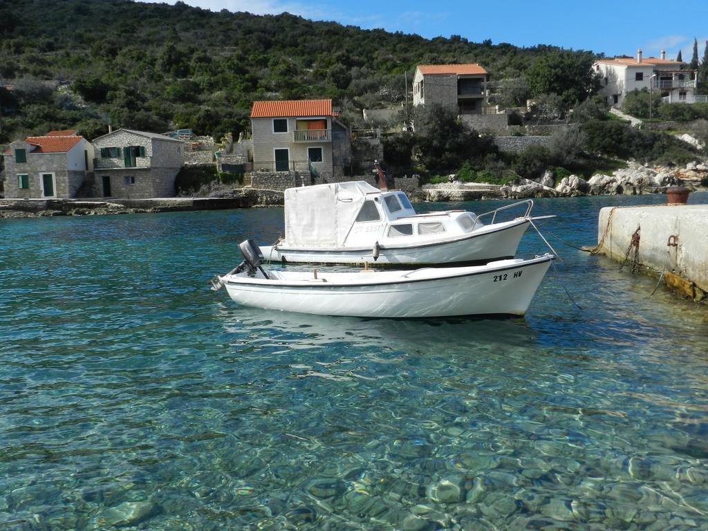 Vila Vita Donje Selo na Solti Bagian luar foto
