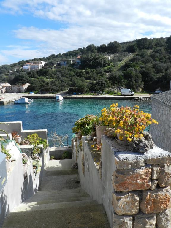 Vila Vita Donje Selo na Solti Bagian luar foto
