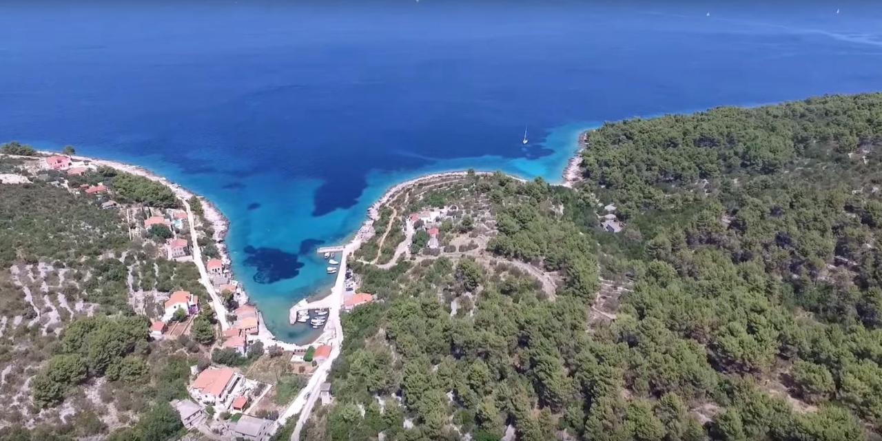 Vila Vita Donje Selo na Solti Bagian luar foto